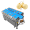 नाशपाती सेब वजनी फल संयोजन स्केल 12 हेड हैंड लोडिंग वजनी मशीन