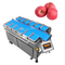 नाशपाती सेब वजनी फल संयोजन स्केल 12 हेड हैंड लोडिंग वजनी मशीन