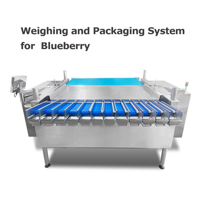 ब्लूबेरी चेरी टमाटर रास्पबेरी के लिए एमसीयू नियंत्रण वजनी और पैकेजिंग मशीन