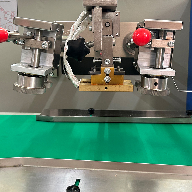 स्वचालित सब्जियां/ताजा फल तकिया बैग पैकिंग मशीनरी