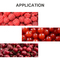 ब्लूबेरी चेरी टमाटर रास्पबेरी के लिए एमसीयू नियंत्रण वजनी और पैकेजिंग मशीन
