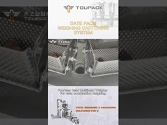 अनुकूलन तिथि पाम बॉक्स पैकिंग लाइन दाना भरने की मशीन स्वचालित उत्पादन विधानसभा लाइन