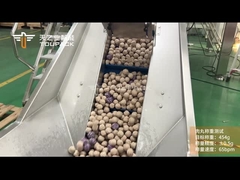 TOUPACK जमे हुए मीटबॉल वजन और पैकेजिंग प्रणाली