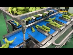 कारखाना उद्योग अर्ध-स्वचालित जाल नेट बैग वजन गिनती नेटिंग क्लिपिंग पैकिंग पैकिंग मशीन