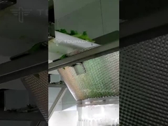 सलाद के लिए बहुमुख्य पैकेजिंग मशीन