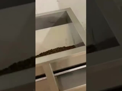 कॉफी बीन्स रैखिक वेजर भरने पैकिंग मशीन