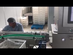 खाद्य उद्योग के लिए स्वचालित इलेक्ट्रॉनिक एक्स-रे निरीक्षण मशीन एक्स-रे निरीक्षण प्रणाली