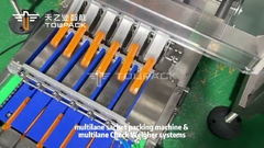 बहु लेन चेकवेजर के साथ औद्योगिक बहु लेन स्टिक सैकेट पैकिंग मशीन