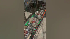 तोते का भोजन पालतू भोजन VFFS नट्स दानेदार फ्रीज सूखे फल पैकेजिंग मशीन सूखे मेवों के लिए